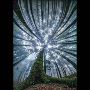 Meet your Posher, Sheryl